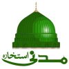 madni logo